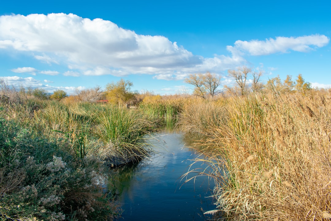 Photo las vegas water