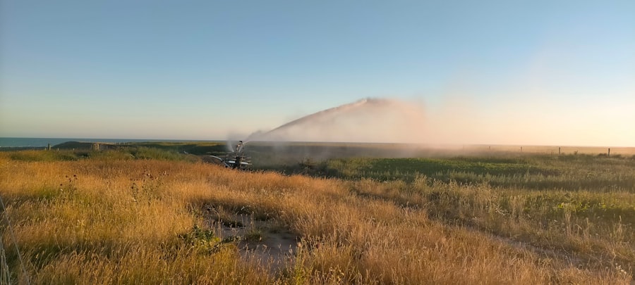 Photo irrigation