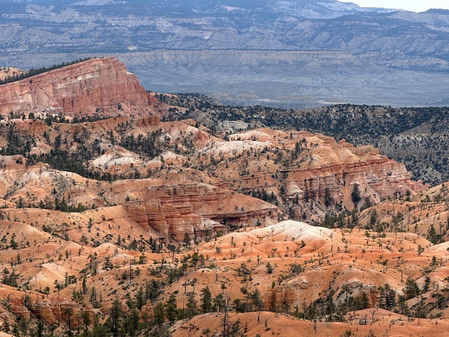 Photo geological history