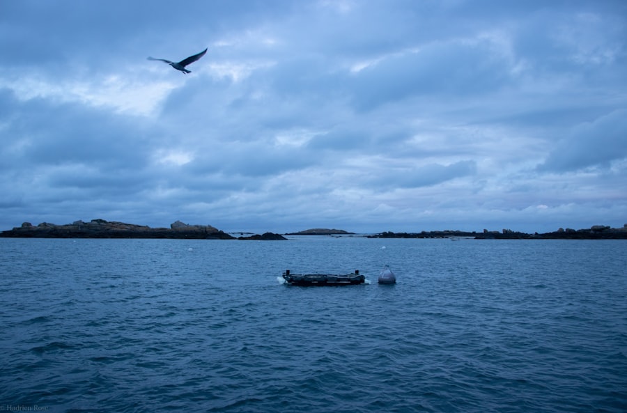 Drake Passage