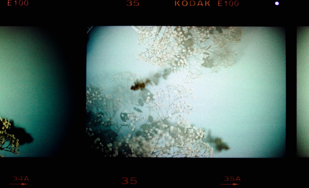 Photo geographic systems documentary