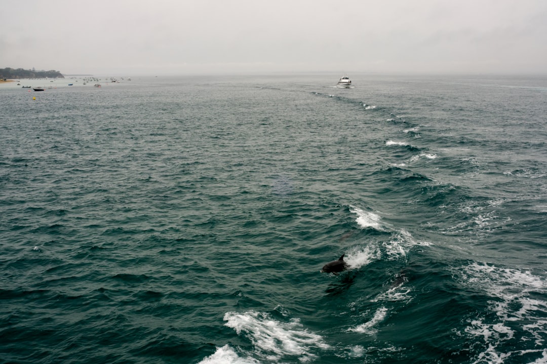 Photo Drake Passage