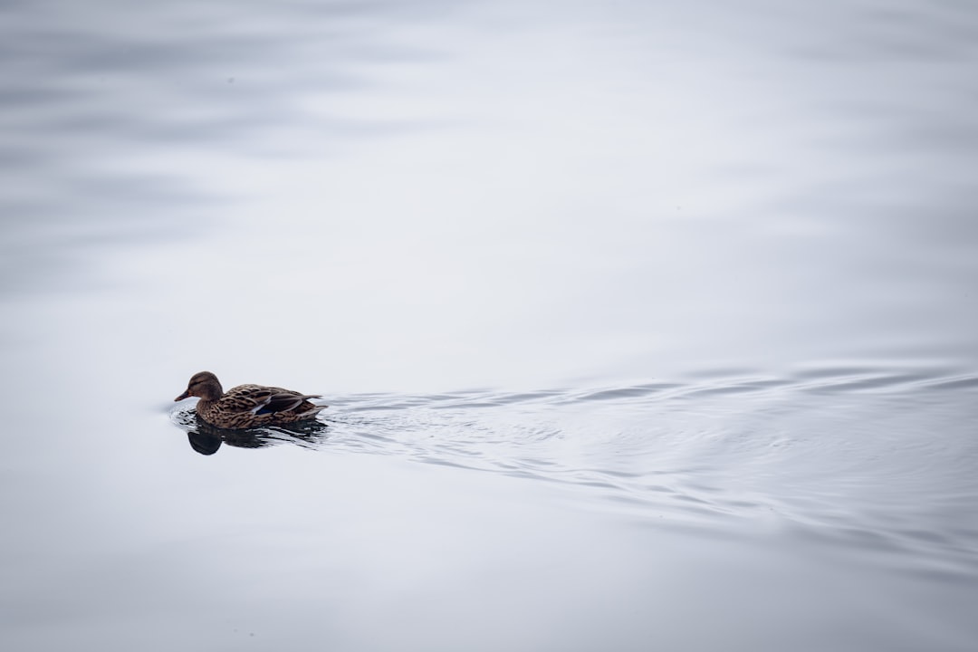 Photo Drake Passage