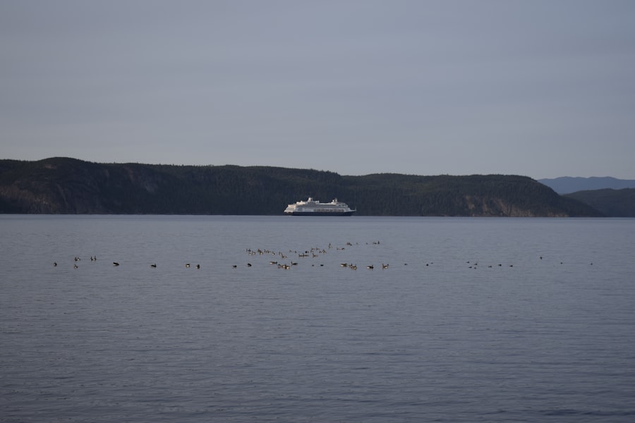 Photo Drake Passage
