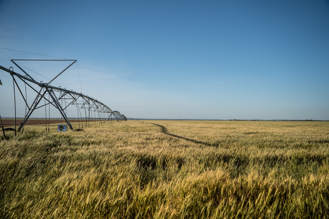 Photo farmers hedge water costs