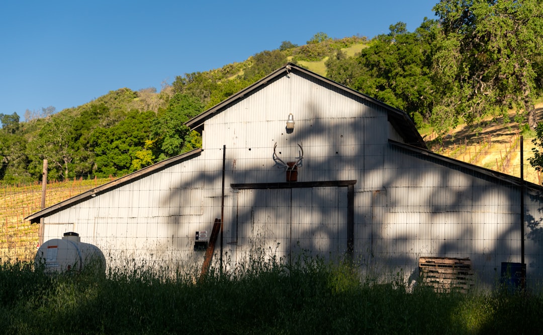 Photo California farmers water shortage