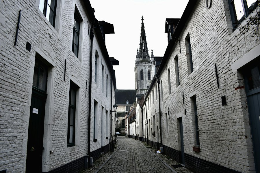 Leuven crisis Belgium