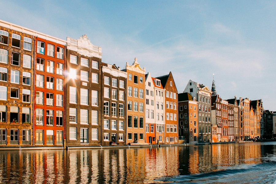 Dutch language rights