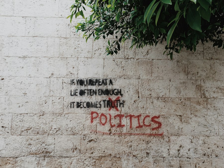 politics