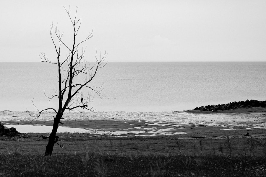 Dead Sea coastline