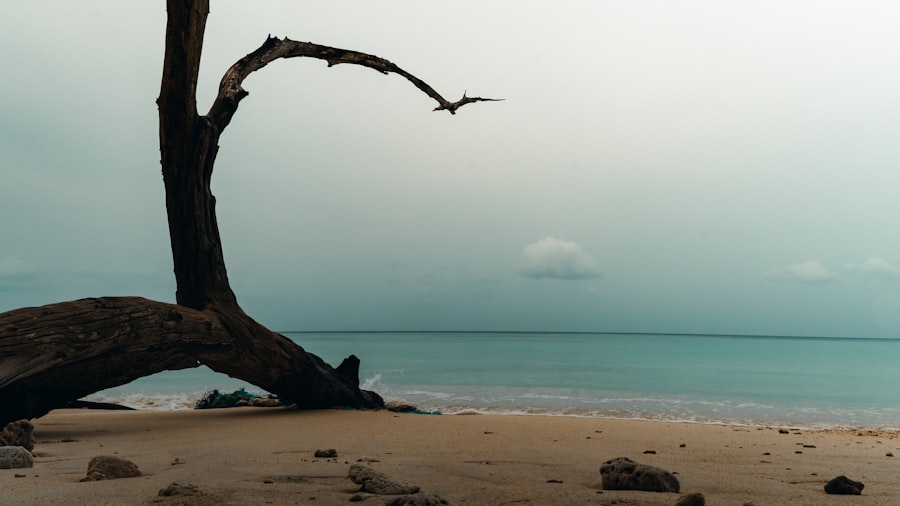 Dead Sea shoreline retreat