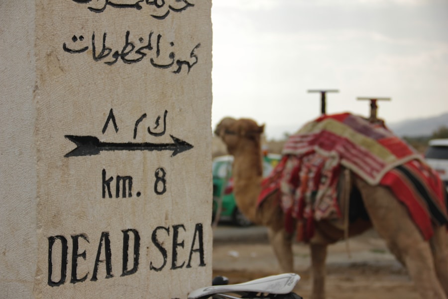 Dead Sea satellite imagery
