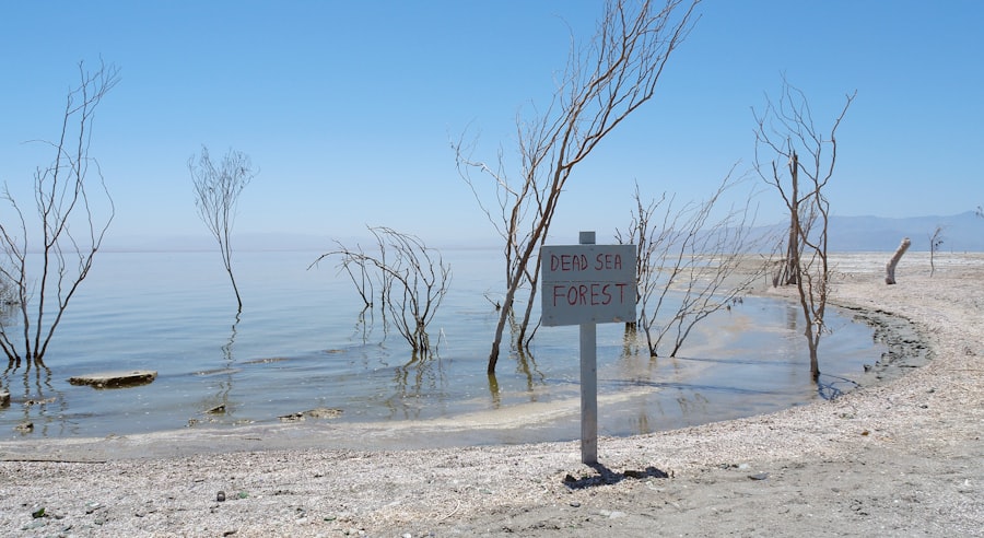 Dead Sea before and after