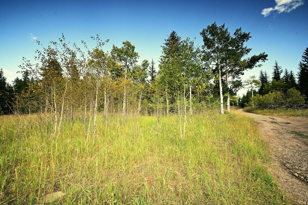 Photo ecological restoration success stories