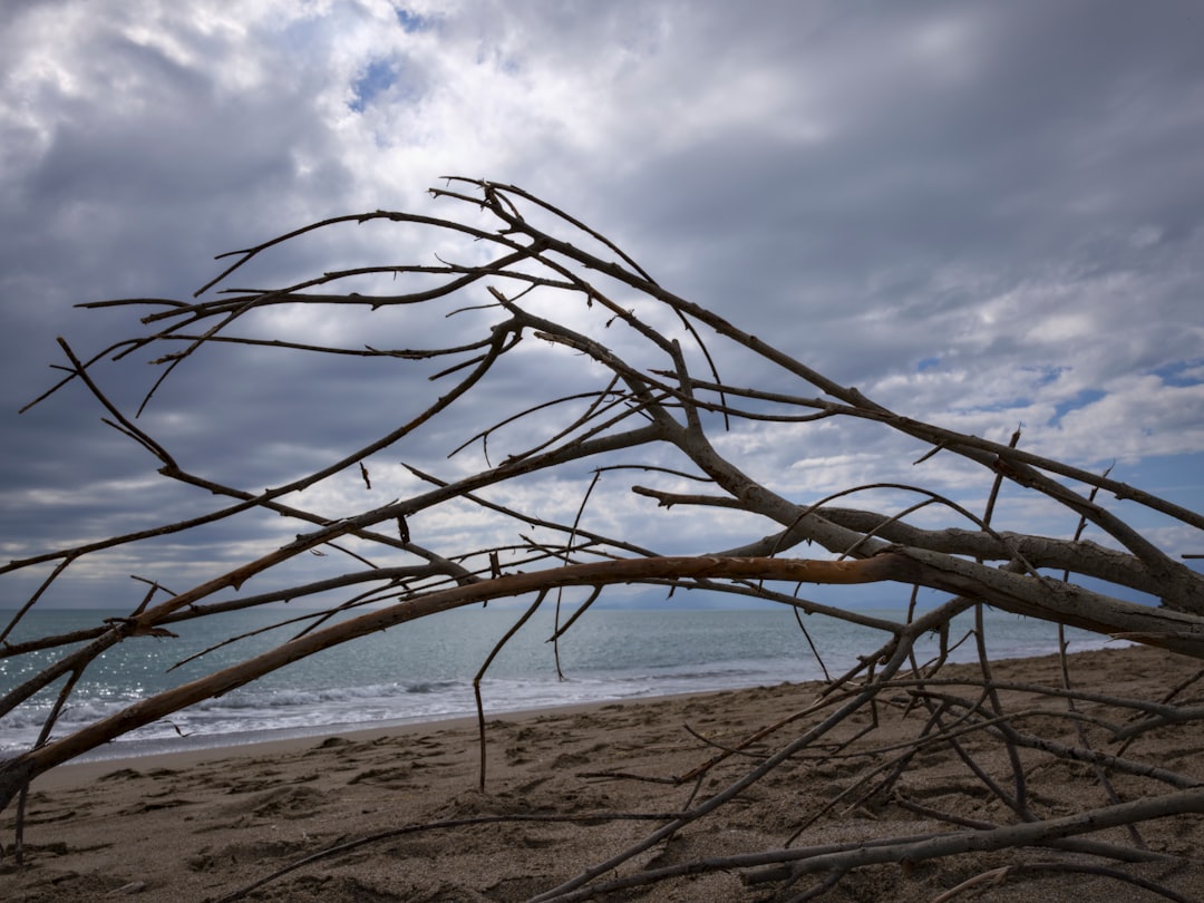 Photo Dead Sea shoreline retreat