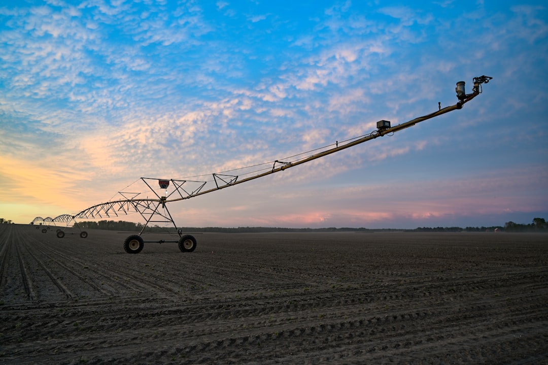 Photo irrigation