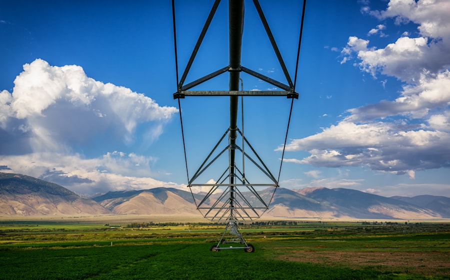 Photo irrigation