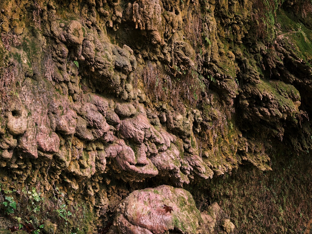 Photo oceanic crust formation