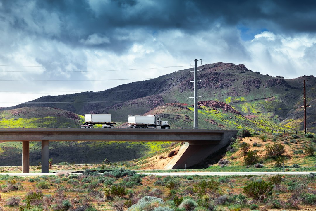 Photo Pan American Highway cost benefit analysis