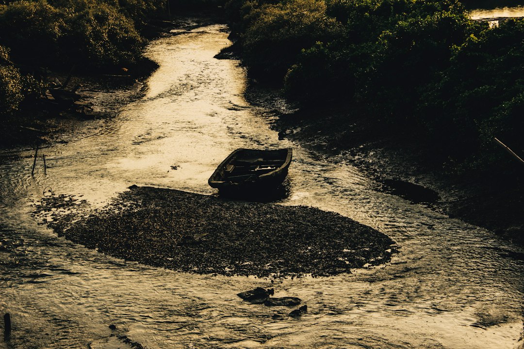 Photo monsoon flood braided rivers impacts