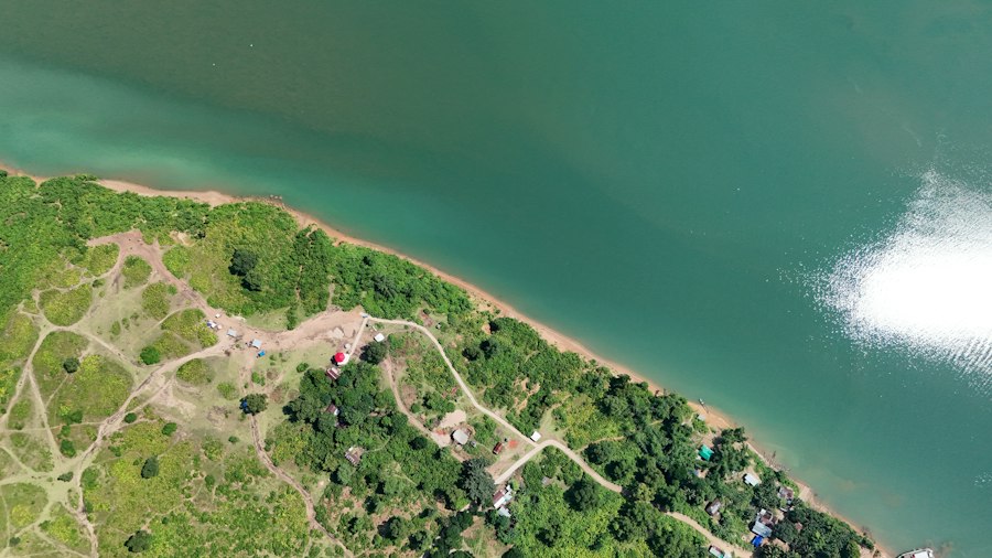 South Asian river sedimentation patterns