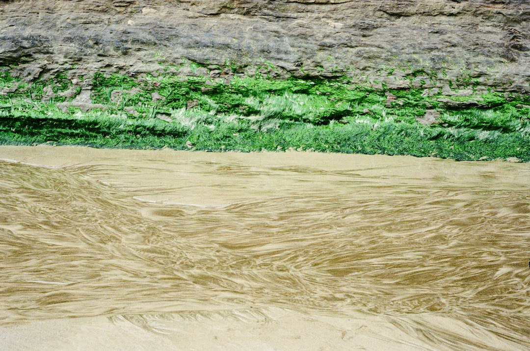Photo river sediment load daily calculation