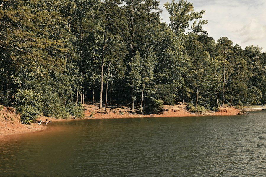 lake drainage effects