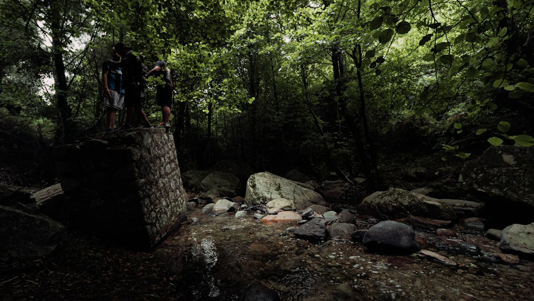 Photo true survival stories scary