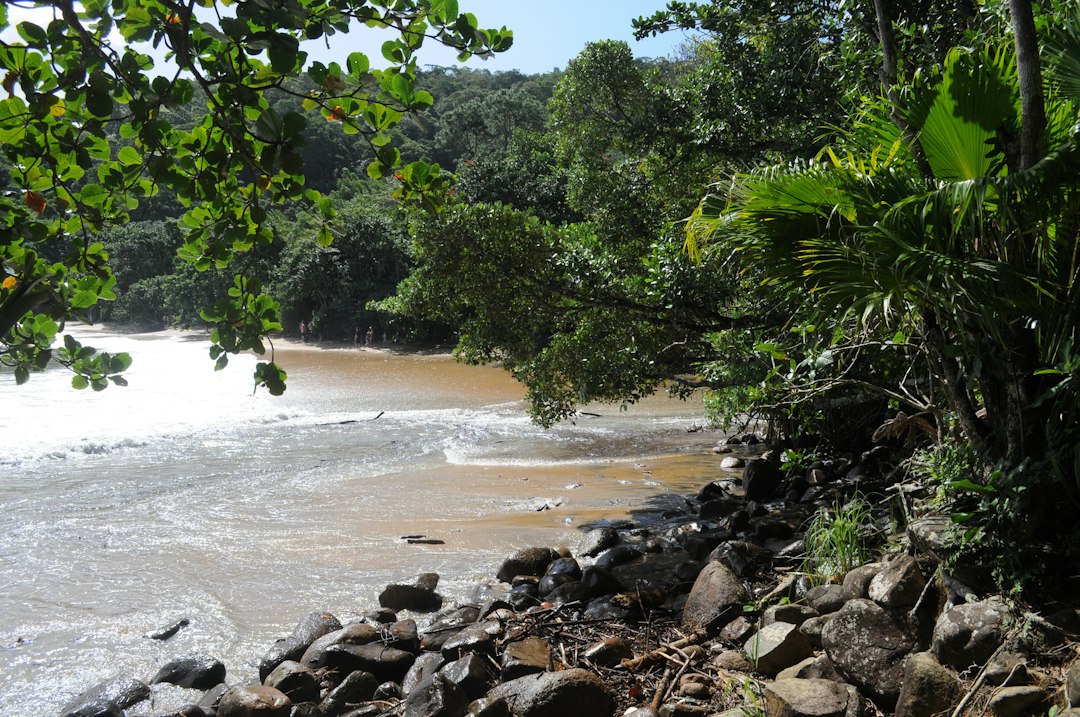 Photo Rio Santa mudflow pulse